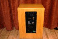REL Storm III bk